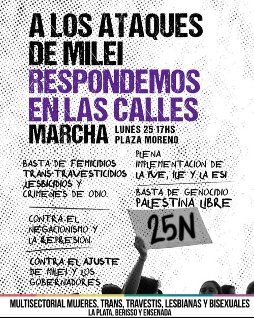 25N: A los ataques de Milei respondemos en las calles 